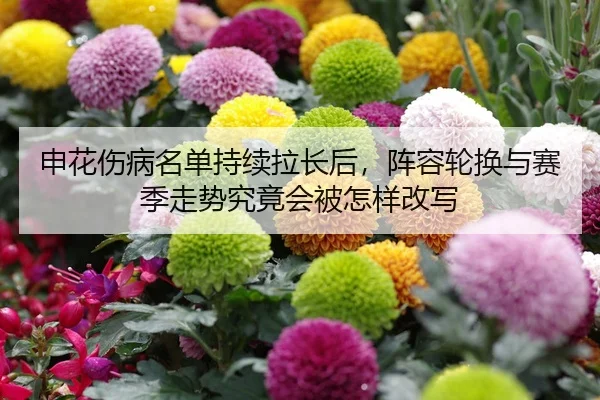 申花伤病名单持续拉长后,阵容轮换与赛季走势究竟会被怎样改写
